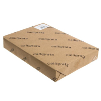 Картон переплётный 0.9 мм, 21 х 30, 50 листов, 540 г/м&sup2;, белый