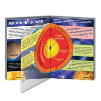 Книга с прозрачными страницами &laquo;Жизнь на земле. Животные и где они обитают&raquo;, 30 стр.