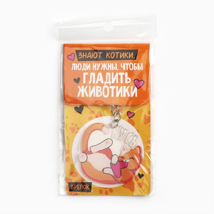 Брелок для ключей акриловый &laquo;Знают котики&raquo;, 10 х 5 см