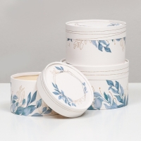 Набор шляпных коробок 3 в 1 "Цветочные узоры", завальцованная, 16 х 10, 14 х 9, 13 х 8,5 см Набор шляпных коробок 3 в 1 "Цветочные узоры", завальцованная, 16 х 10, 14 х 9, 13 х 8,5 см