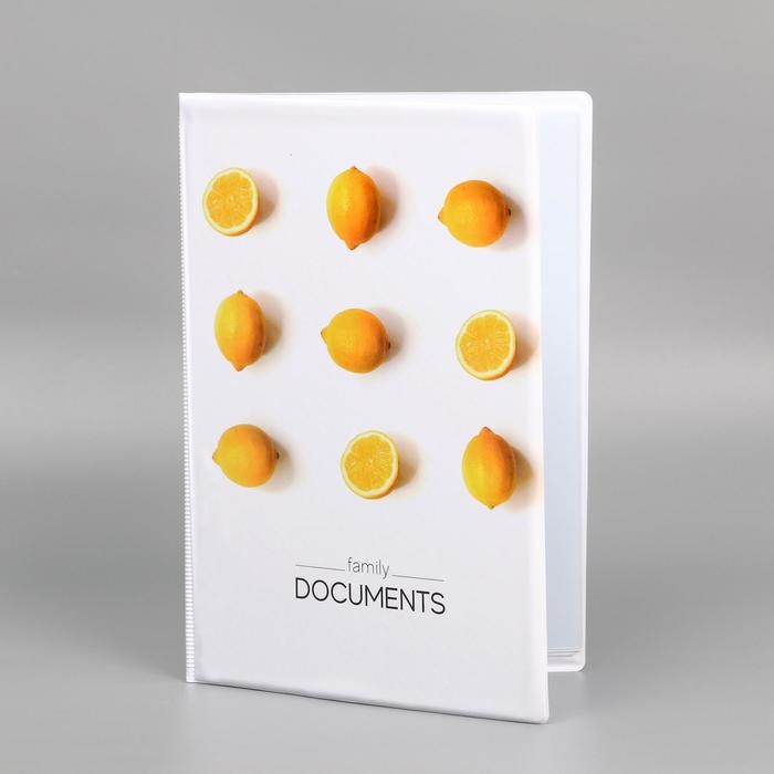Папка для семейных документов &laquo;Docs&raquo;, 8 файлов А4