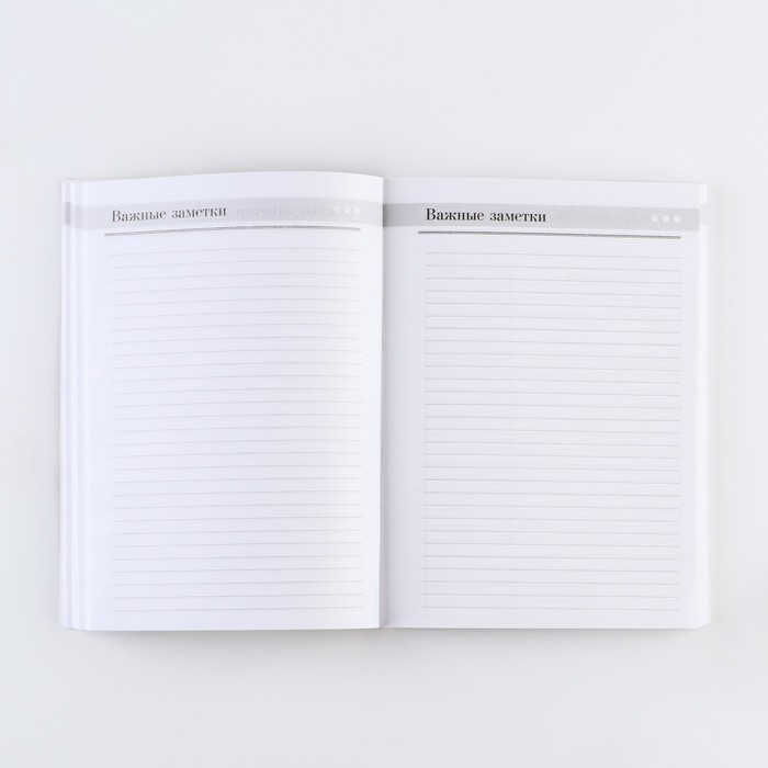 Ежегодник &laquo;Учителю: С днём учителя&raquo;, формат А5, 160 листов, мягкая обложка