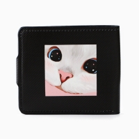 Кошелёк-книжка &laquo;Котик&raquo;, 11х9.5х2 см