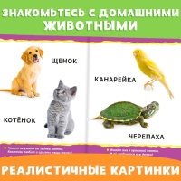 Набор картонных книг «Для самых маленьких», 2 шт. Набор картонных книг «Для самых маленьких», 2 шт.