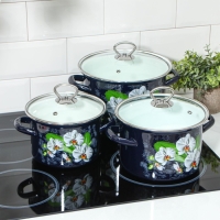 Набор эмалированных кастрюль &laquo;Ванда&raquo;, 3 предмета: 2.4 л, 3.4 л, 5 л, индукция