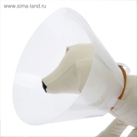 Ветеринарный воротник с креплением на ошейник, высота 10 см (без ошейника) Ветеринарный воротник с креплением на ошейник, высота 10 см (без ошейника)