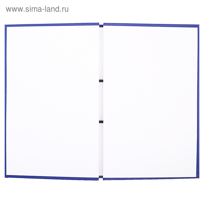 Папка Папка "Дипломная работа" А4 на болтах, бумвинил, без бумаги, цвет синий (вместимость до 300 листов)
