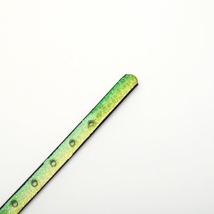 Ошейник лаковый Ошейник лаковый "Радуга", 30 х 1 см, микс