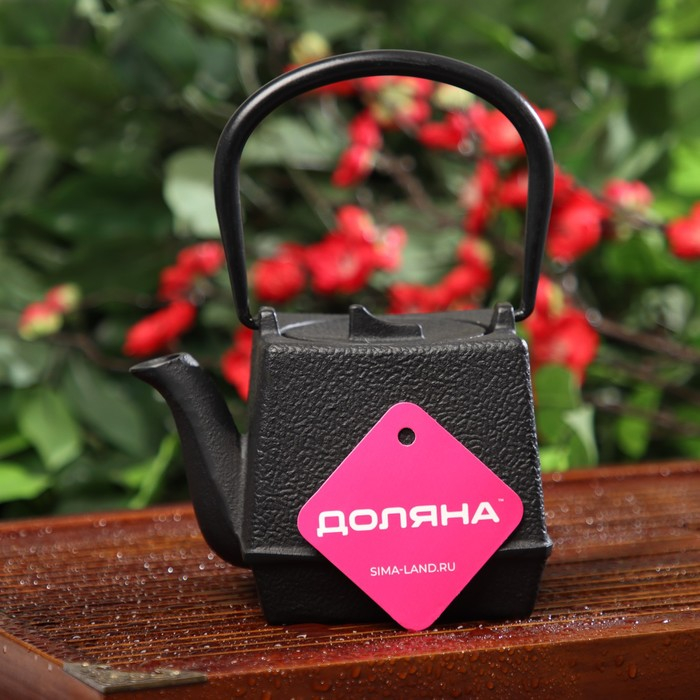 Чайник для плиты Доляна &laquo;Бокей. Этно&raquo;, 700 мл, с ситом, чугун, с эмалированным покрытием, индукция, цвет чёрный