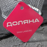 Корзинка для картофеля фри Доляна &laquo;Квадро&raquo;, 10&times;8,5&times;6 см, мелкая сетка, цвет серебристый