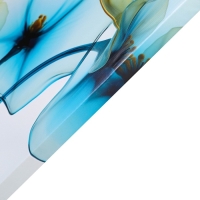 Картина на холсте "Прозрачность" 60*100 см Картина на холсте "Прозрачность" 60*100 см