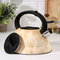 Чайник со свистком из нержавеющей стали Доляна &laquo;Скоттиш&raquo;, 2,8 л