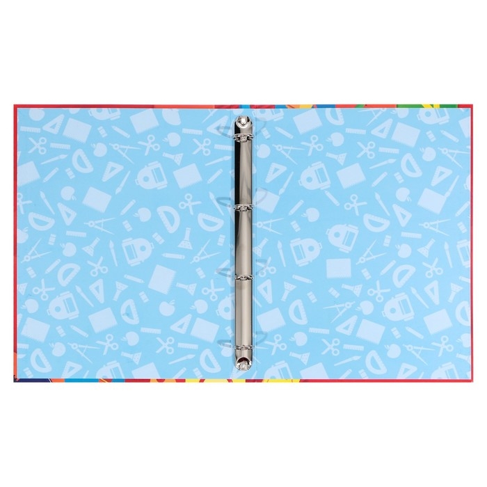 Папка школьная на кольцах &laquo;Портфолио ученика начальной школы&raquo;, без разделителей, 24,5 х 32 см.