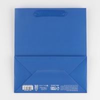 Пакет подарочный ламинированный, упаковка, &laquo;Синий&raquo;, ML 23 х 27 х 11.5 см