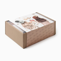 Набор подарочный Этель &laquo;Новый год: Hello winter&raquo; полотенце 30х60 см и аксессуары