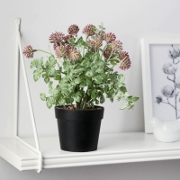 Бонсай в горшке "Мордовник" 9х22 см, микс Бонсай в горшке "Мордовник" 9х22 см, микс