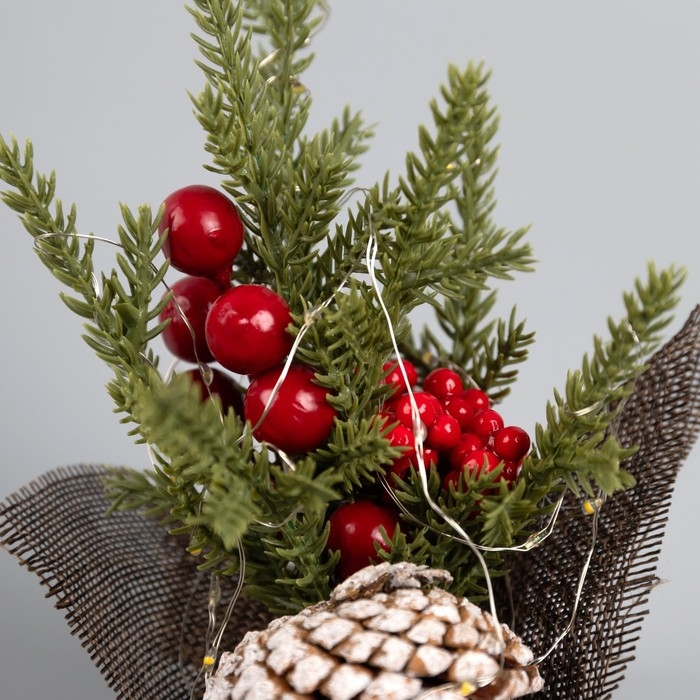 Фигура светодиодная «Зимняя рябина» 19 x13 x13 см, 10 LED, батарейки AG13x3 (в комплекте), свечение тёплое белое Фигура светодиодная «Зимняя рябина» 19 x13 x13 см, 10 LED, батарейки AG13x3 (в комплекте), свечение тёплое белое