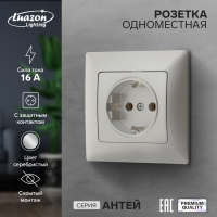 Розетка одноместная Luazon Lighting "Антей", 16 А, скрытая, с з/к, серебристая Розетка одноместная Luazon Lighting "Антей", 16 А, скрытая, с з/к, серебристая