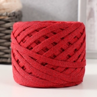 Трикотажная пряжа "Риббон" с люрексом 85м/170±5 гр (Красный, люрекс: Красный) Трикотажная пряжа "Риббон" с люрексом 85м/170±5 гр (Красный, люрекс: Красный)