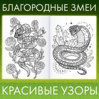 Раскраска &laquo;Прекрасные и опасные змеи&raquo;, 20 &times; 28, 32 раскраски, формат А4