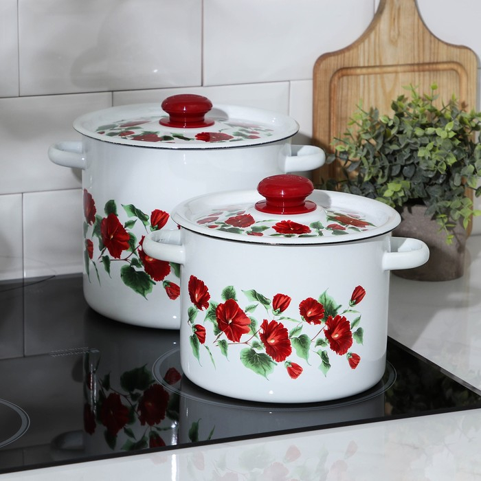 Набор эмалированных кастрюль &laquo;Рамо&raquo;, 2 предмета: 3,5 л, 5,5 л