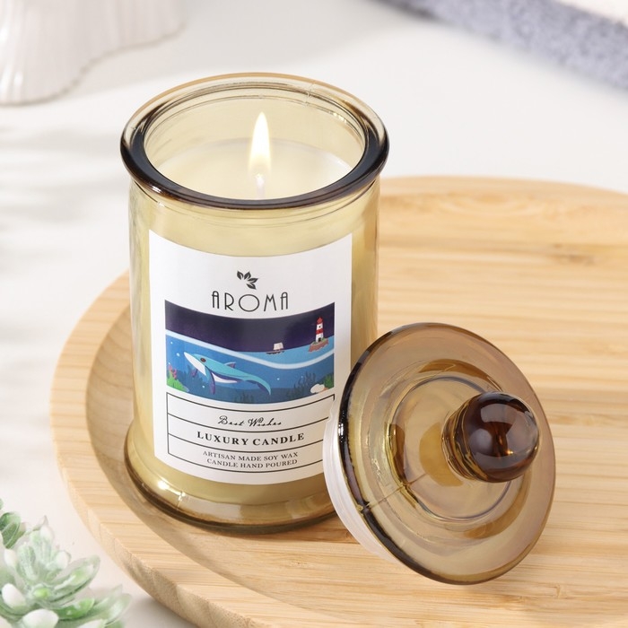 Свеча ароматическая в банке Свеча ароматическая в банке "Эвкалипт", 40ч, 95 гр, в коробке