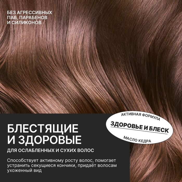 Шампунь для сухих и ослабленных волос с маслом кедра и экстрактом календулы, здоровые и блестящие, 300 мл, ECO LAB by URAL LAB