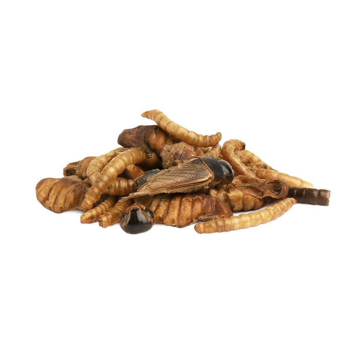 Лакомство Little One "Смесь насекомых" для всеядных грызунов, 75 г