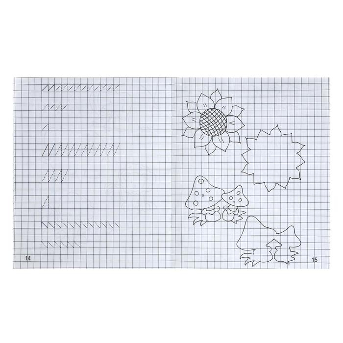 Рабочая тетрадь &laquo;Дошкольные прописи в клетку&raquo;, часть1