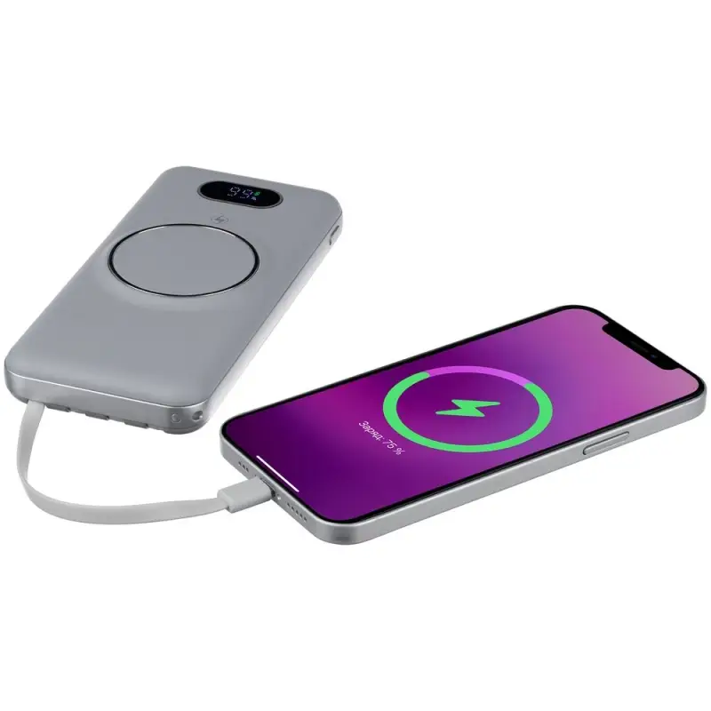 Внешний аккумулятор Omni Pro 10000 мАч, серый Внешний аккумулятор Omni Pro 10000 мАч, серый