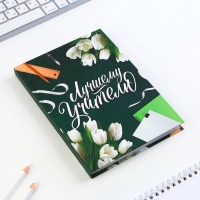 Набор «Лучшему учителю»: ежедневник А5 160 листов, планинг 50 листов и ручка пластик Набор «Лучшему учителю»: ежедневник А5 160 листов, планинг 50 листов и ручка пластик