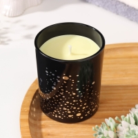 Свеча ароматическая "Silver Spot", ежевика, чёрный стакан Свеча ароматическая "Silver Spot", ежевика, чёрный стакан