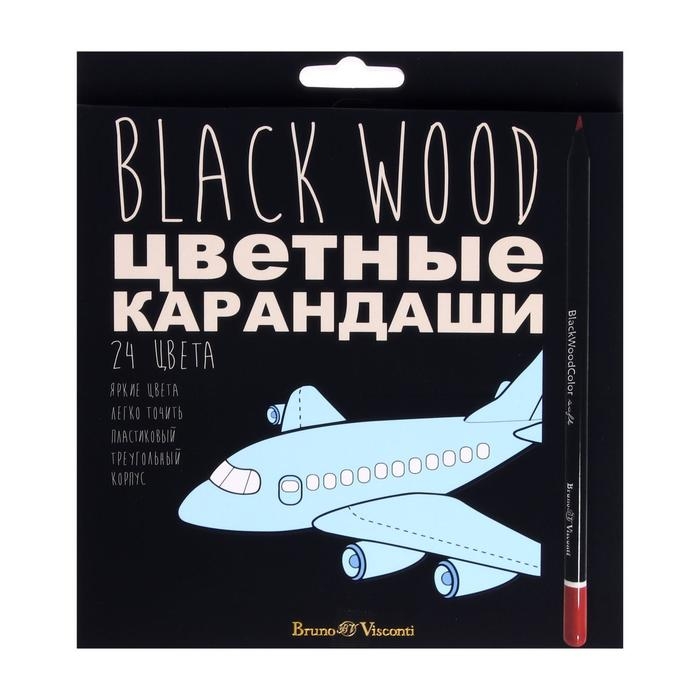 Карандаши 24 цвета BlackWoodColor, пластиковые, трёхгранные, МИКС