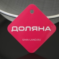 Сито для просеивания с ручкой Доляна «Хозяюшка», d=16 см, цвет зелёный Сито для просеивания с ручкой Доляна «Хозяюшка», d=16 см, цвет зелёный