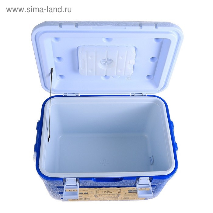 Термоконтейнер "Арктика", 30 л, 52 x 36.5 х 33 см, синий