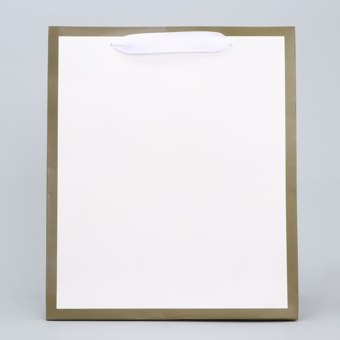 Пакет подарочный, упаковка, &laquo;Белый&raquo;, 27 х 23 х 11.5 см