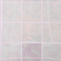 Контейнер пищевой RICCO, 3 л, 28×16×12 см, прямоугольный, прозрачный Контейнер пищевой RICCO, 3 л, 28×16×12 см, прямоугольный, прозрачный