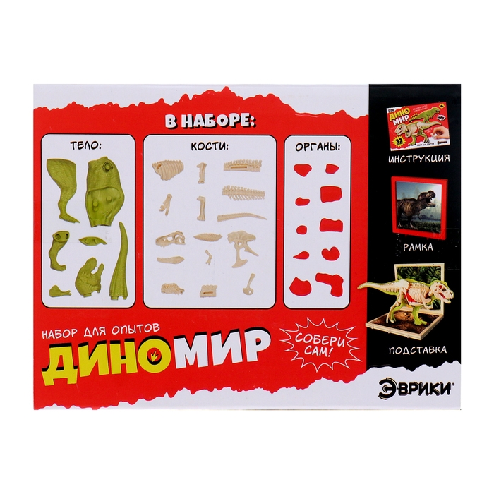 Набор для опытов «Диномир: Тираннозавр», строение тела динозавра, 33 детали Набор для опытов «Диномир: Тираннозавр», строение тела динозавра, 33 детали