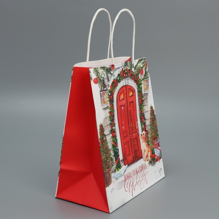Пакет подарочный новогодний крафтовый &laquo;Добро пожаловать&raquo;, 22 х 25 х 12 см, Новый год