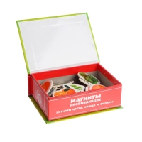 Развивающие магниты &laquo;Изучаем цвета и овощи - фрукты&raquo; (набор 25 шт.)