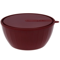 Салатник с крышкой «Fiesta», 2,8 л, цвет МИКС Салатник с крышкой «Fiesta», 2,8 л, цвет МИКС