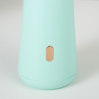 Лампа настольная "Страйк" LED 3 режима 1,5Вт USB зеленый 6,8х6,8х28,5 см RISALUX Лампа настольная "Страйк" LED 3 режима 1,5Вт USB зеленый 6,8х6,8х28,5 см RISALUX