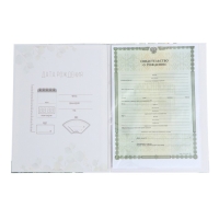 Папка для свидетельства о рождении &laquo;Welcome baby&raquo;, 23,5 х 31,5 см.