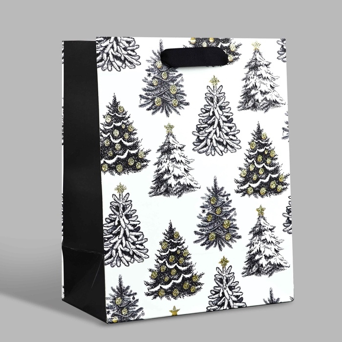 Пакет подарочный новогодний ламинированный &laquo;Зимняя сказка&raquo;, MS 23 x 18 х 10 см