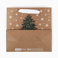 Пакет подарочный новогодний крафтовый квадратный &laquo;Новогодняя красавица&raquo;, 22 х 22 х 11 см, Новый год