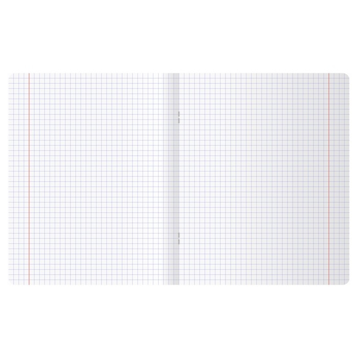 Тетрадь 48 листов в клетку Elegance, обложка мелованный картон, металлизированный пантон, тиснение фольгой, блок офсет, МИКС Тетрадь 48 листов в клетку Elegance, обложка мелованный картон, металлизированный пантон, тиснение фольгой, блок офсет, МИКС
