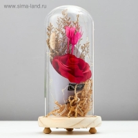 Ночник "Колба с розой в букете" LED 3ААА МИКС 23х11х11 см RISALUX Ночник "Колба с розой в букете" LED 3ААА МИКС 23х11х11 см RISALUX