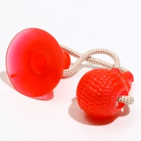 Игрушка для собак "Шар на присоске", 40 см, микс цветов Игрушка для собак "Шар на присоске", 40 см, микс цветов