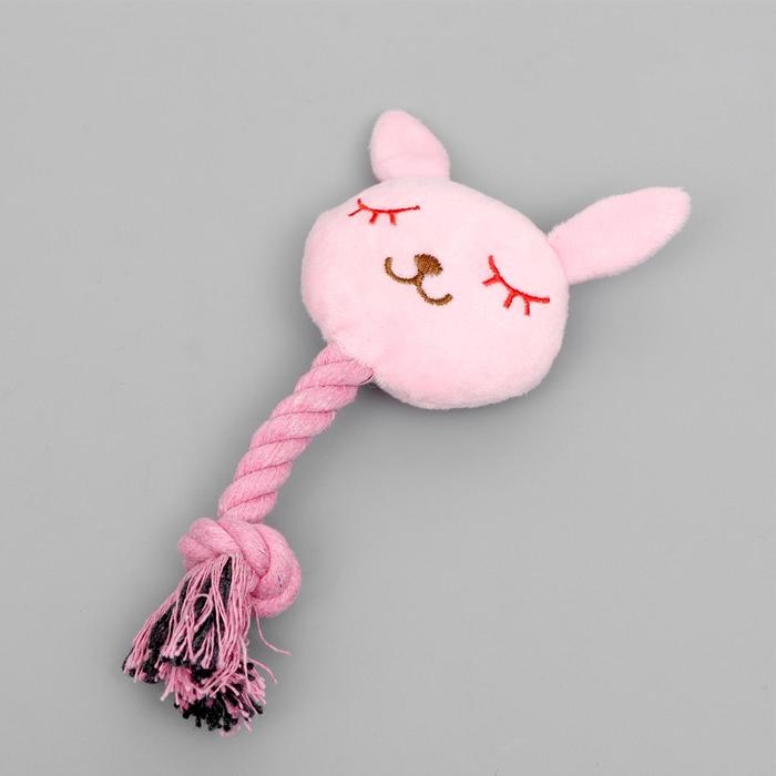 Игрушка мягкая для собак Игрушка мягкая для собак "Зайка с канатом", с пищалкой, 18 см, розовая