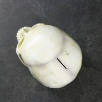 Копилка "Череп" кость белая, 16х13х22см Копилка "Череп" кость белая, 16х13х22см